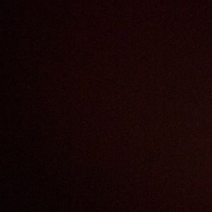 Meet your Posher, Bailey